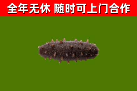 运河区烟酒回收干海参.jpg